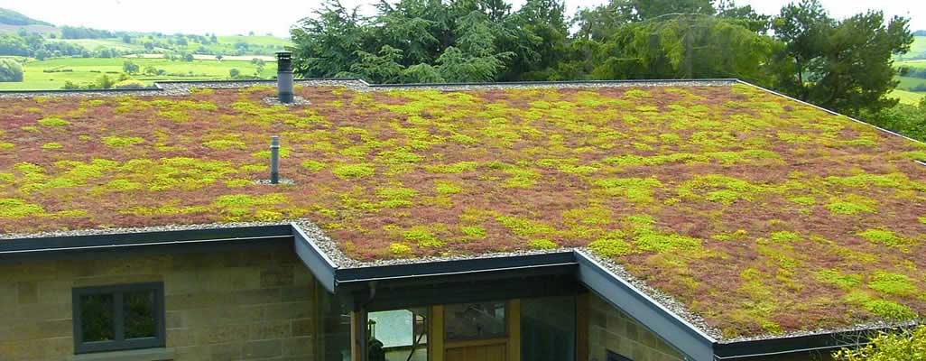 Green Roof Installers Skipton North Yorkshire