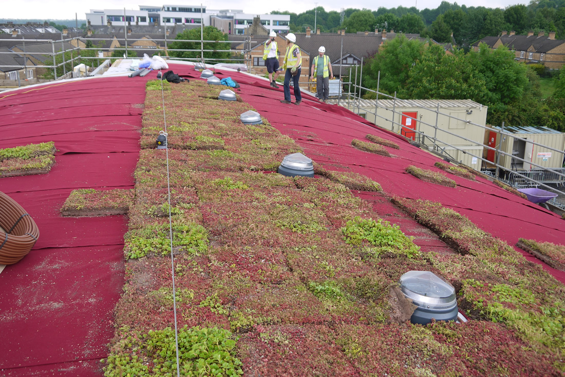 france green roofs