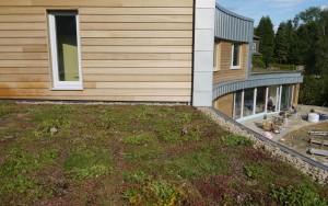Green Roofs Naturally BIW1