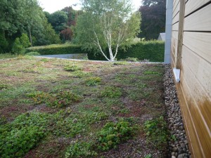 green Roofs Naturally BIW2