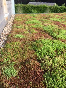 Green roofs naturally 4 may 16