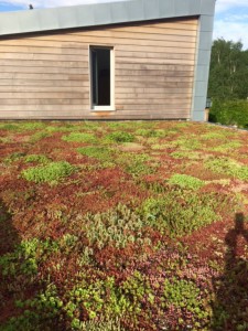 green roofs naturally May 16
