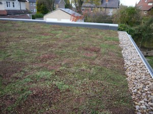 HARROGATE GARAGE ROOF GREEN ROOFS NATURALLY 2